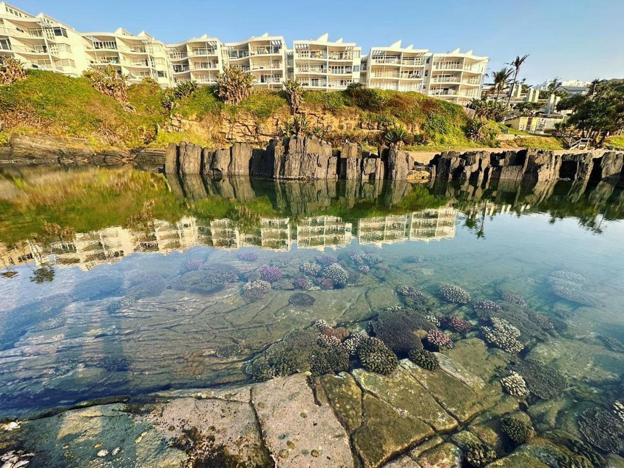 Chakas Cove Apartment บัลลิโต ภายนอก รูปภาพ